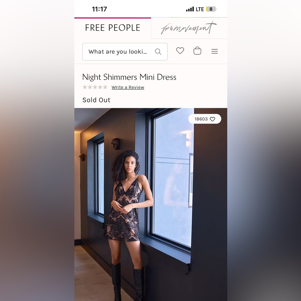 Free People Black and Tan Lace Dress